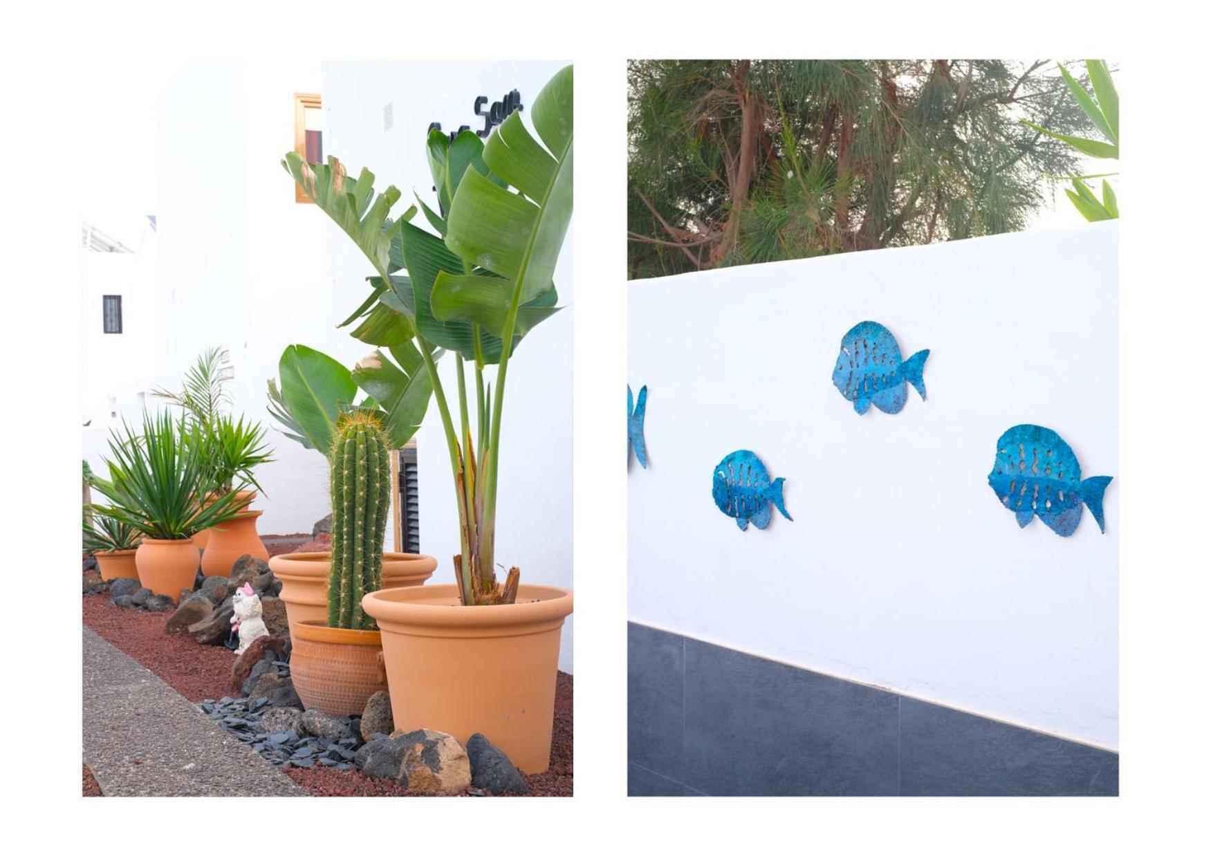 הוילה פוארטו דל כרמן Casa San Valentin Con Piscina Privada מראה חיצוני תמונה